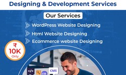 Why RS ORGANISATION is the best website designing company in Noida?