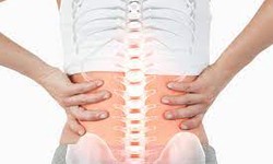 Understanding The Root Causes Of Lower Back Pain And Ayurvedic Treatment Options In Andheri