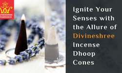 Ignite Your Senses with the Allure of Divineshree Incense Dhoop Cones