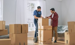 9 Essential Questions to Ask Before Hiring Professional Movers
