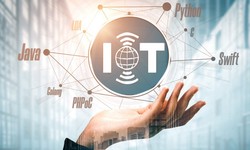Prepare Yourself for The Future with Online IOT Training