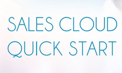Salesforce Quickstart with Forsyth Software to develop your business