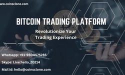 Build your Bitcoin Trading Platform now and join the Digital Gold Rush!