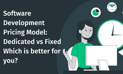 Software Development Pricing Model: Dedicated vs Fixed Which is better for you?