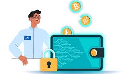 Cryptocurrency Wallets: Features and Development