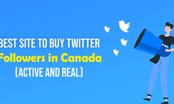Best Site to Buy Twitter Followers in Canada (Active and real)