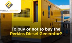 Is Buying the Perkins Diesel Generator a good decision?