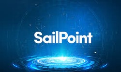 SailPoint Introduction : A complete Guide to learn