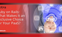 Ruby on Rails: What Makes It an Exclusive Choice for Your PaaS?