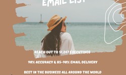 Preparing for the Worst: Impact of a Recession on Travel Agents Email List