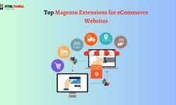Top Magento Extensions for eCommerce Websites