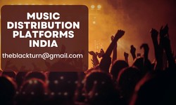 Top Music Distribution Platforms India