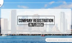 A complete guide on Company registration in Florida
