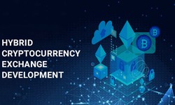 Hybrid Crypto Exchanges: Combining Centralized and Decentralized Features