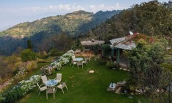 Best Hotel Near Kanatal For Your Next Trip | In Apple Estate