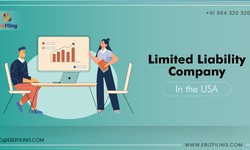 Limited Liability Company In the USA