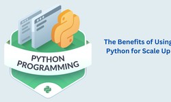 The Benefits of Using Python for Scale Up
