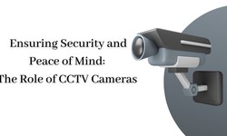 Ensuring Security and Peace of Mind: The Role of CCTV Cameras