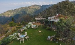 Top Resort In Kanatal- Make Your Trip Heaven With The Stunning Beauty Of Kanatal