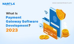 What are the Benefits of Developing Your Own Payment Gateway Solution?
