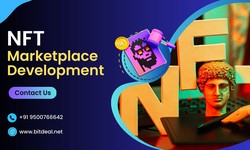 5 Factors To Consider While Choosing an NFT Marketplace Development Company