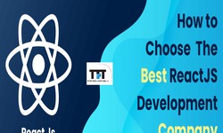 How to Choose the Best ReactJS Development Company