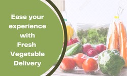 Ease your experience with Fresh Vegetable Delivery in Bangalore