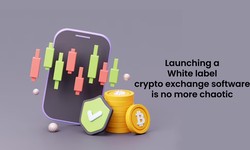 Launching a White label crypto exchange software is no more chaotic