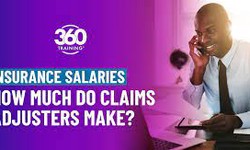 How much does an insurance assessor earn, other?