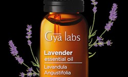 Unlock the Power of Lavender Pure Essential Oil | Discover the Magic of GyaLabs Lavender Pure Essential Oil