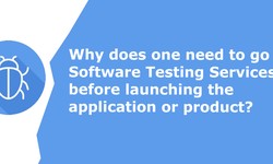 Why does one need to go for Software Testing Services before launching the application or product?