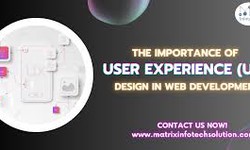 The Importance of User Experience (UX) in Professional Website Development