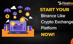 Is it possible to launch a cryptocurrency exchange similar to Binance using a Binance clone script?