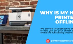 Troubleshooting Guide: Why Is My HP Printer Offline?