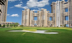 Ready-to-Move 3 BHK Flats in Noida: A Perfect Blend of Comfort and Convenience