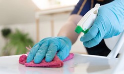 Professional Cleaning Sensations: Best Cleaning Services in North Charleston SC