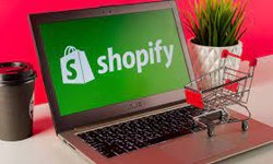 Embrace Shopify and Elevate Your Online Business to New Heights