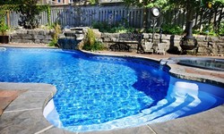 Dive into the World of Natural Swimming Pools: Features and Benefits