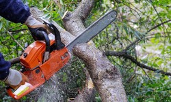Essential Chainsaw Maintenance Tips for Longevity and Performance