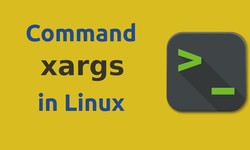 How to use xargs command in Linux