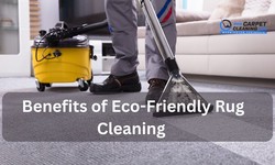 The Benefits of Eco-Friendly Rug Cleaning for a Healthier Home