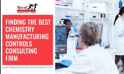 The Best Chemistry Manufacturing Controls Consulting Services