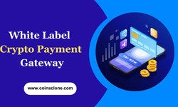 White Label Crypto Payment Gateway for Startups