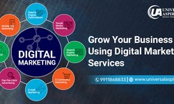How can a Leading Digital Marketing Company in Delhi Help in Attracting More Online Audience?