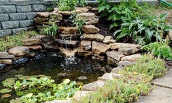 What kind of features can you add to a backyard pond?