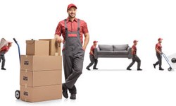 Finding the Top Moving Companies in NYC: Your Ultimate Guide