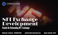 NFT Exchange Development: Creating a Lucrative Opportunity for Startups