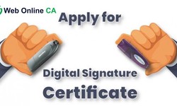 Simplifying Digital Signature Application: A Comprehensive Guide with Web Online CA