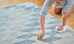 The Top 5 Benefits of Professional Carpet Cleaning Services