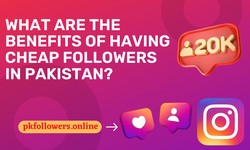 What Are the Benefits of Having Cheap Followers in Pakistan?